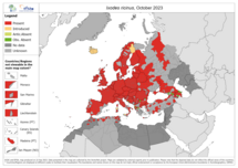 Ixodes ricinus - current known distribution: October 2023