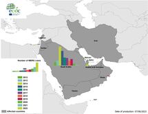 Geographical distribution of confirmed cases of MERS-CoV, by country of infection and year, from April 2012 to May 2023