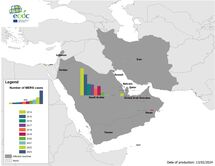 Geographical distribution of confirmed MERS-CoV cases by country of infection and year, from April 2012 to January 2024​