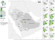 Geographical distribution of confirmed cases of MERS in Saudi Arabia by probable region of infection and exposure, with dates of onset from January 2013 to March 2025