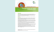 Cover of the monthly measles and rubella monitoring report, June 2018 Thumbnail