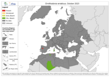 Ornithodorus erraticus - current known distribution: October 2023