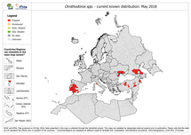 Ornithodoros spp. - current known distribution, May 2018 Thumbnail