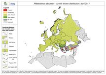 Phlebotomus alexandri - current known distribution in Europe, April 2017 Thumbnail