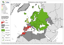 Phlebotomus ariasi - current known distribution: October 2020