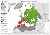 Phlebotomus perniciosus - current known distribution: October 2020