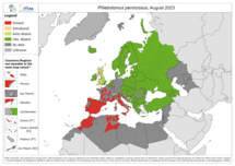 Phlebotomus perniciosus - current known distribution: August 2023