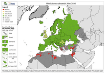 Phlebotomus alexandri - current known distribution: May 2020