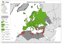 Phlebotomus alexandri - current known distribution: March 2021