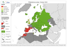 Phlebotomus ariasi - current known distribution: October 2023