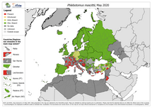 Phlebotomus mascittii - current known distribution: May 2020