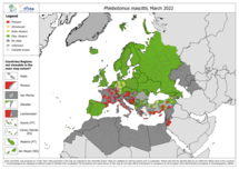 Phlebotomus mascittii - current known distribution: March 2022