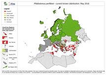 Phlebotomus perfiliewi - current known distribution: May 2018 Thumbnail