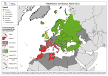 Phlebotomus perniciosus - current known distribution: March 2022