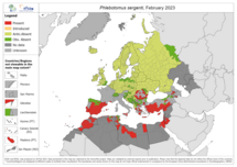 Phlebotomus sergenti - current known distribution: February 2023