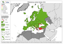 Phlebotomus similis - current known distribution: October 2021