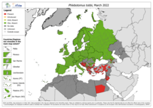 Phlebotomus tobbi - current known distribution: March 2022