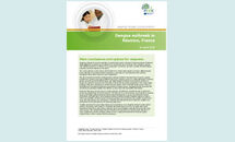 RRA Dengue in La Reunion Thumbnail