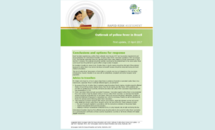 Cover of the RRA on yellow fever, April 2017 Thumbnail