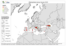 Rhipicephalus bursa - current known distribution: January 2019 Thumbnail