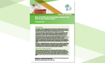 Cover: Rapid Risk Assessment: Risk of COVID-19 transmission related to the end-of-year festive season