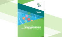 STI monitoring report cover