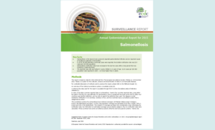 Cover of the Salmonellosis AER for 2015 Thumbnail