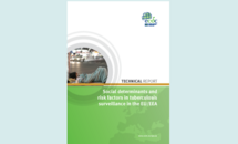 Cover of the technical report on Social determinants and risk factors in tuberculosis surveillance in the EU/EEA Thumbnail
