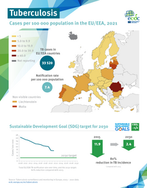  Infographic: Tuberculosis in the EU/EEA 2021