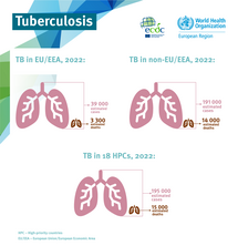 Tuberculosis cases in EU/EEA, non EU/EEA and 18 high-priority countries, 2022