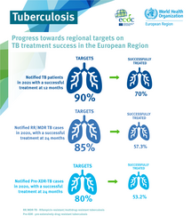 Infographic: Tuberculosis treatment outcomes in the European Region, 2022