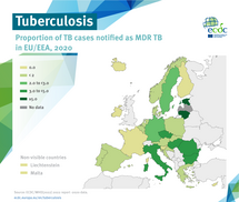Multidrug-resistant (MDR) tuberculosis in the EU/EEA, 2020