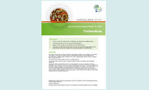 Trichinellosis Annual Epidemiological Report for 2015 Thumbnail