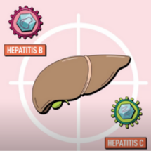 Hepatitis B and C: Detect. Treat. Prevent.