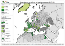 Seasonal active surveillance for invasive mosquitoes over 2017–2019