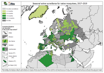 Seasonal active surveillance for native mosquitoes over 2017–2019