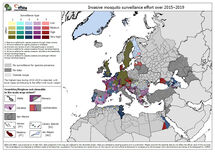 Invasive mosquito surveillance effort over 2015–2019