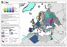 Native mosquito surveillance effort over 2015–2019