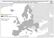 West Nile virus in Europe in 2019 - human and equine cases, updated 18 July Thumbnail