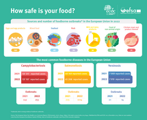 Food safety infographic