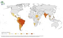 12 month Chikungunya virus disease case notification rate per 100 000 population, August 2022 July 2023