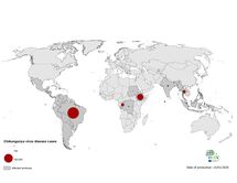 Geographical distribution of chikungunya cases reported worldwide in 2019 Thumbnail