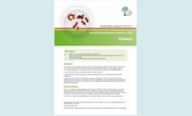 Cover of the AER for cholera for 2016 Thumbnail