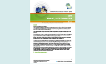 Communicable disease threats report, 14-20 October, week 42 Thumbnail