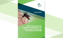 Cover of the report "Public health guidance for assessing and mitigating the risk of locally-acquired Aedes-borne viral diseases in the EU/EEA"