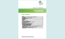 Cover of the Health communication strategy 2010-2013 Thumbnail