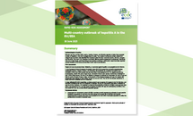 Cover of the Hepatitis risk assessment