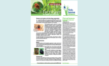Cover of factsheet about Lyme borreliosis for healthcare professionals Thumbnail