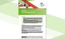 Cover of the report: "Measles Annual Epidemiological Report for 2018" Thumbnail