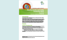 Cover of the Monthly measles and rubella monitoring report, January 2019 Thumbnail